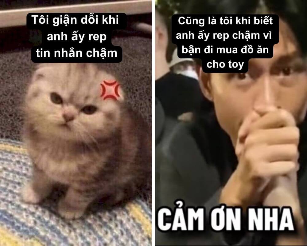 Bộ sưu tập 99+ ảnh meme cảm ơn hài hước, bao lầy lội